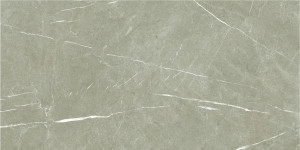 Baldocer Eternal Taupe Pulido 60x120 [połysk]