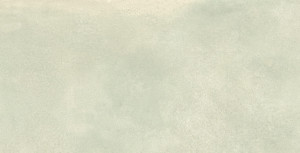 Baldocer Symphony Ash 60x120 [satyna]