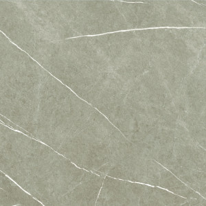 Baldocer Eternal Taupe Natural 60x60 [mat]
