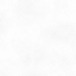 Peronda PLANET WHITE SF/60X60/C/R 60X60 grubość:10,00 pak:1,08 R-9 | PLANET