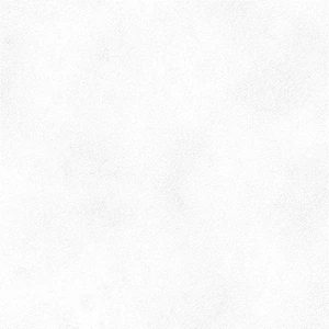 Peronda PLANET WHITE SF/60X120/C/R 60X120 grubość:10,00 pak:1,44 R-9 | PLANET