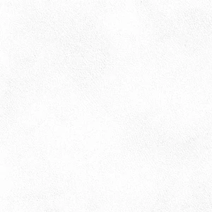 Peronda PLANET WHITE SF/29X90/C/R 29X90 grubość:10,00 pak:0,78 R-9 | PLANET
