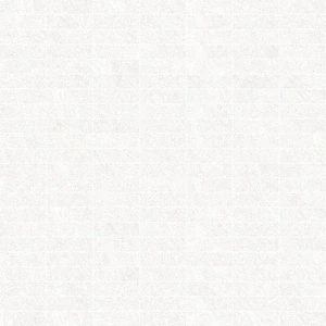 Peronda D.NATURE WHITE SPAC SF/30X30/C/R 30X30 grubość:10,00 pak:0,72 | NATURE FLOOR