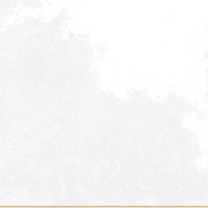 Peronda FS TRADITION SQUARE WHITE LT 20X40 grubość:10,30 pak:0,96 - | FS TRADITION