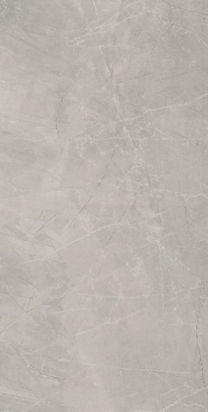 Baldocer Bayona Silver Natural 120x240 [mat]
