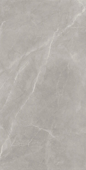 Baldocer Bayona Silver Pulido 120x240 [połysk]