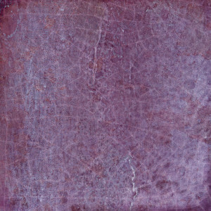 Harmony Dyroy Aubergine 10x10 [połysk]