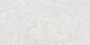 Baldocer Kronos Silver 60x120 [mat]