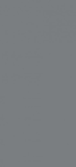Baldocer Lead Natural 120x260 [mat]