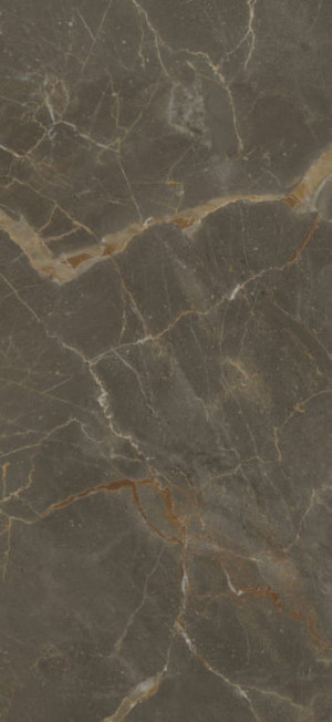 Baldocer Riscal Brown Pulido 120x260 [połysk] #OUTLET