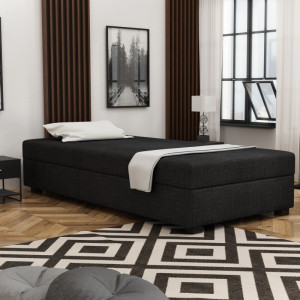 Iwo 100x195 – Schlafsofa und Bett mit Bettkasten