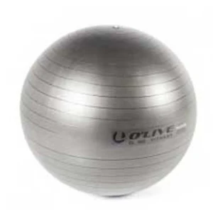 Olive Fitball Fitness Grey 65 cm