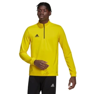 Adidas Sweat-shirt Entrada 22 Training Team Yellow / Black M Homme