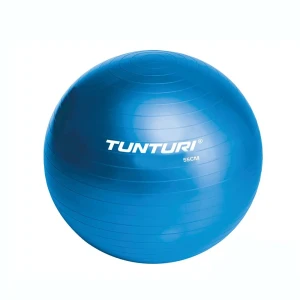 Tunturi Fitball Gym Ball Blue 75 cm