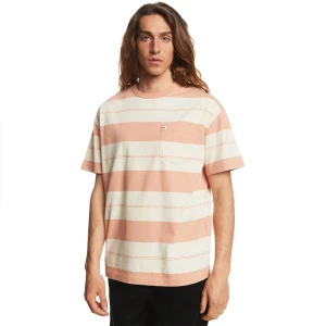 Quiksilver T-shirt à Manches Courtes Stingray Cafe Stingray S Homme