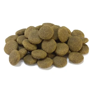 Arquivet Nourriture Pour Chiens Adultes Maxi Poulet Et Riz Multicolor 12kg