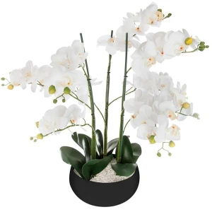 Atmosphera Pot De Fleur Orchid Jj1682 White One Size
