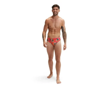 Speedo Bañador Slip Fundies 5 Cm Bloominous Pink / Cupid Coral / Light Slate / Lemon Driz UK 28