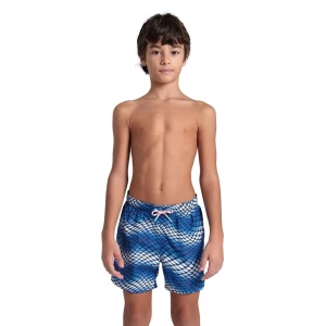 Arena Short De Bain Allover