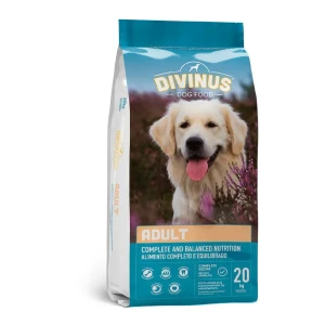 Divinus Nourriture Pour Chiens Adultes 20kg Multicolour One Size