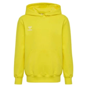 Hummel Sweat à Capuche Go 2.0 Blazing Yellow 116 cm Garçon,Fille