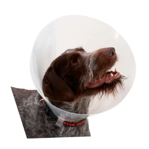 Kruuse Collier De Chien K273395 Elizabethan 10 Unités Transparent One Size