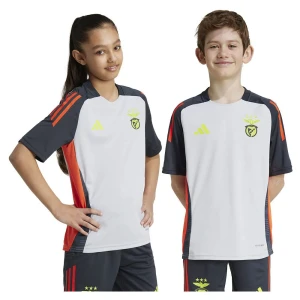 Adidas T-shirt Manches Courtes Junior Benfica 24/25 Lgh Solid Grey / Semi Solar Red 5-6 Années Garçon,Fille