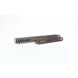 Öhlins Juego De Muelles De Horquilla 08789-40 Black 38.2 / 423 mm / 4.0 N/mm