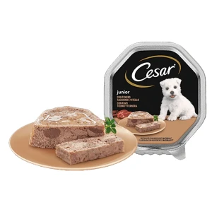 Cesar Nourriture Pour Chiots à La Dinde Et Au Bœuf 150g 14 Unités Multicolor One Size