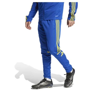 Adidas Pantalon De Survêtement Squadra 25 Training Team Royal Blue / Team Yellow S Homme,Femme