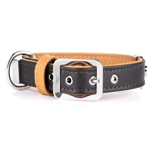 Myfamily Collier De Chien Hermitage Brown 42-50 x 2.8 cm