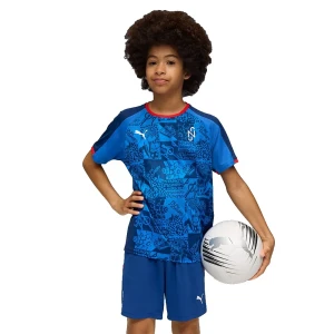 Sweat-shirt Neymar Jr Playmaker Blazing Blue / PUMA White / Ultra Blue 15-16 Années Garçon
