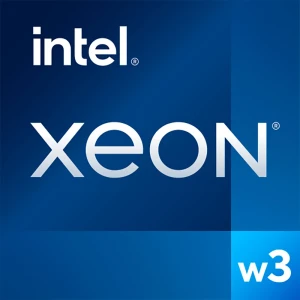 Intel Cpu Xeon W3-2423 2.1 Ghz Smart Cache Metallic / Grey One Size unisex