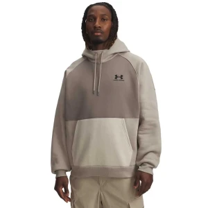 Under Armour Sweat à Capuche Icon Hw Colorblocked Brown S
