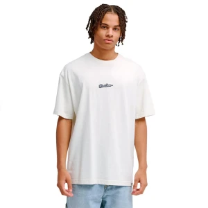 Dc Shoes T-shirt à Manches Courtes Melted Core Lily White 2XL Homme