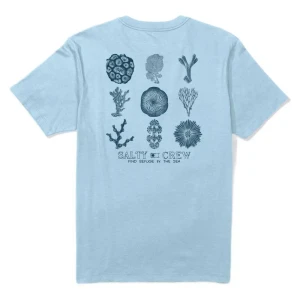 Salty Crew T-shirt à Manches Courtes Coral Head Clear Sky XL Homme