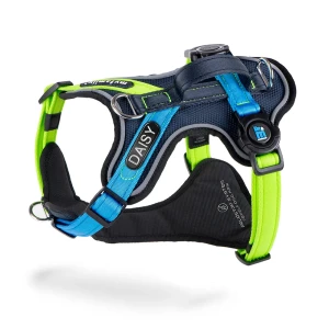 Myfamily Harnais Pour Chien Memopet H Id Black / Green / Blue M