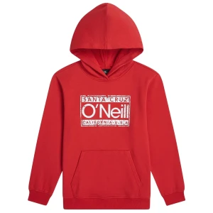 O´neill Sweat à Capuche Cali High Risk Red 16 Années Garçon