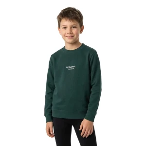Jack & Jones Sweat-shirt Soho Scarab 14 Années Garçon