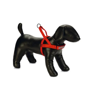 Beeztees Harnais Pour Chien Premium Parinca Red 72-90 cm x 30 mm