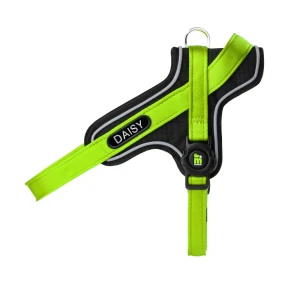 Myfamily Harnais Pour Chien Memopet® Id Personalizable Y Green 70-90 cm