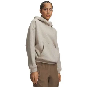 Under Armour Sweat à Capuche Icon Fleece Brown / Timberwolf Taupe M