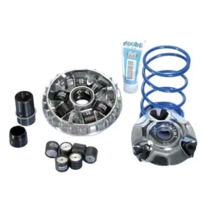 Polini Kit Variador Piaggio 50 241.370 Natural One Size