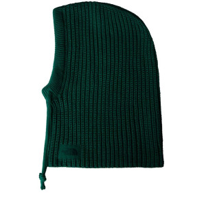 Kaptur The North Face Urban Lifestyle 0A88QZNL11 - zielony