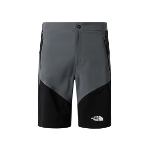Spodenki męskie The North Face Felik 0A825XRPI1 - szare