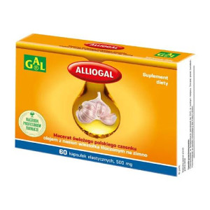 GAL Alliogal 60 kapsułek - Studio Zielarskie