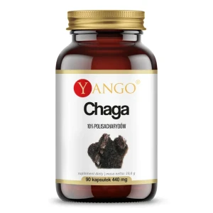 YANGO Chaga ekstrakt 10% 90 kapsułek - Studio Zielarskie