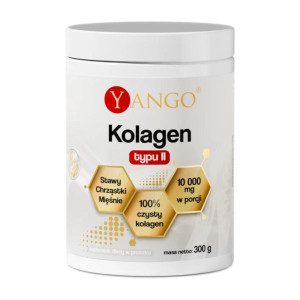 Yango Kolagen Typu II proszek 300 g - Studio Zielarskie