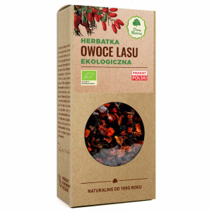 DARY NATURY Herbatka Owoce Lasu EKO 100g - Studio Zielarskie