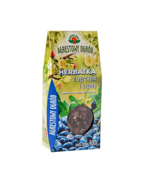 NATURA WITA Herbatka z agrestem i jagodą 100g - Studio Zielarskie
